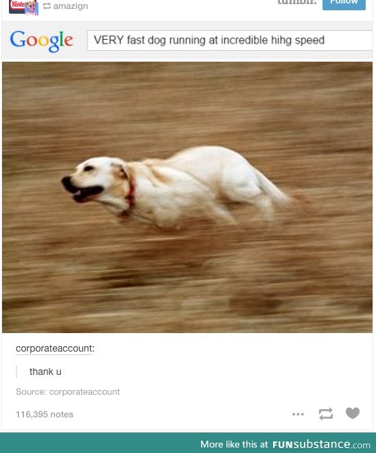 Sometimes google delivers