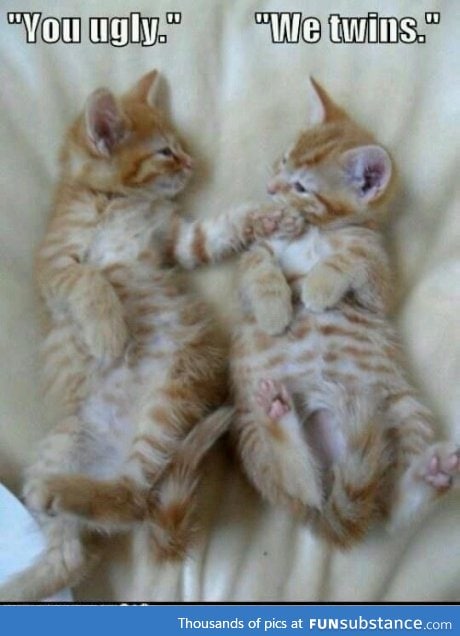 I'm beside myself!