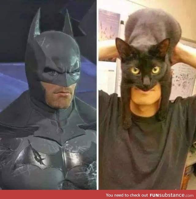 Nailed it