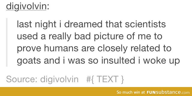 how dare they compare me to goats?!