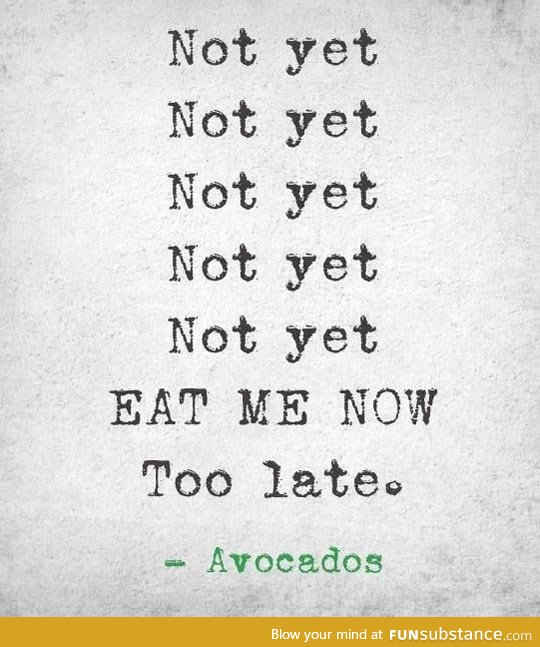 Avacado You Difficult B*stard