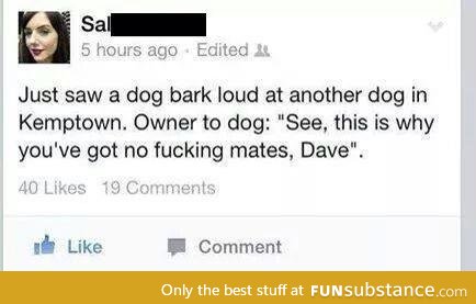 U fukin twat Dave