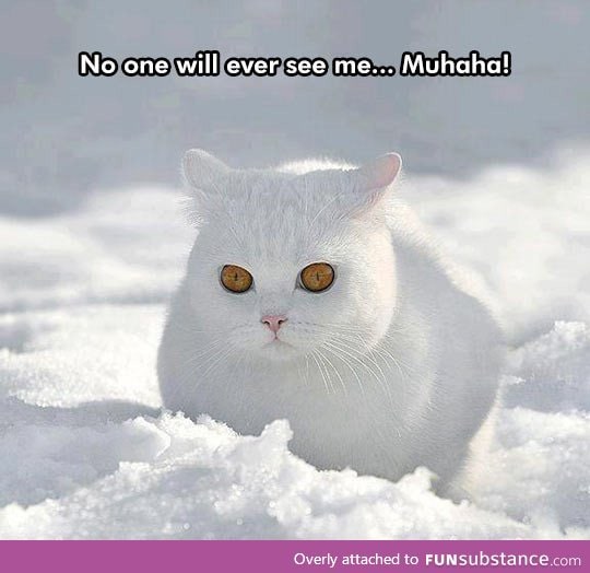 Blending into the background