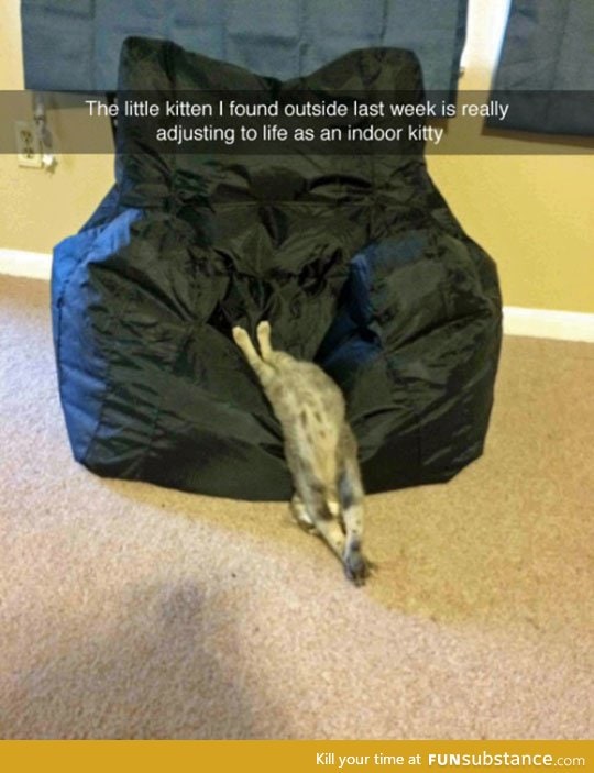 The indoor life