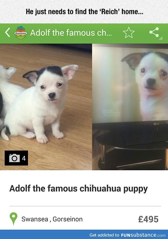 I want him to be mein