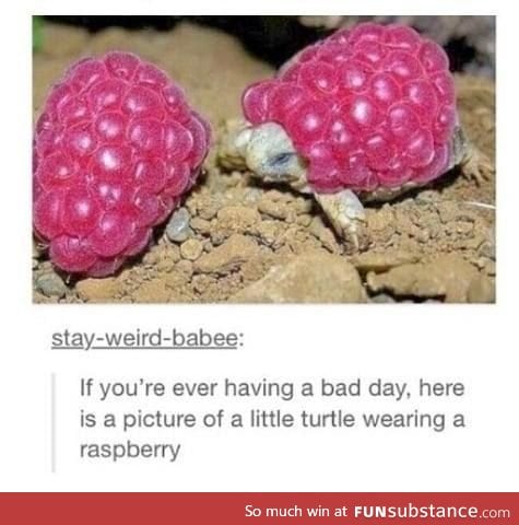Too cute though