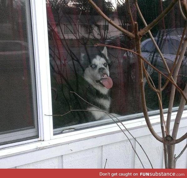 Moon Moon is waiting for you to get off work