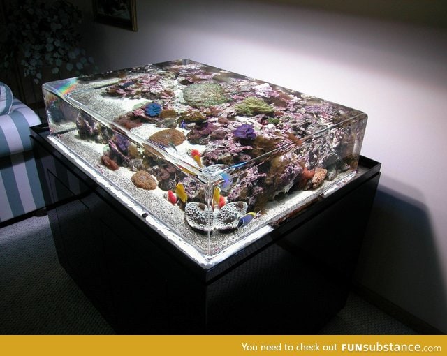 A completely clear aquarium