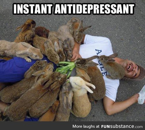 Instant antidepressant