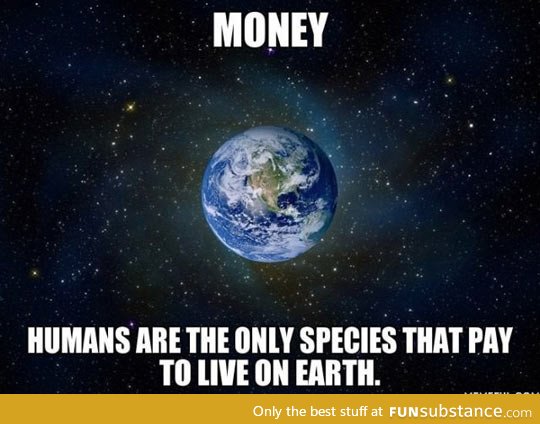 Humans and their money