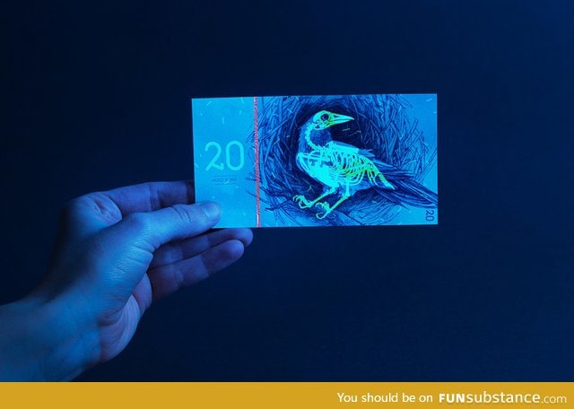 Glow-in-the-dark Hungarian banknote concept