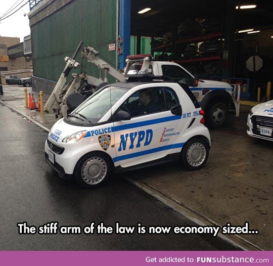 The little police