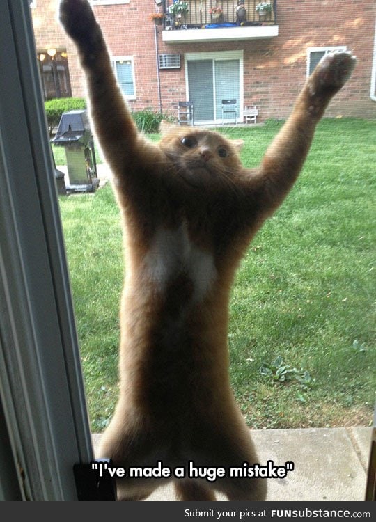 Let me in, you filthy human
