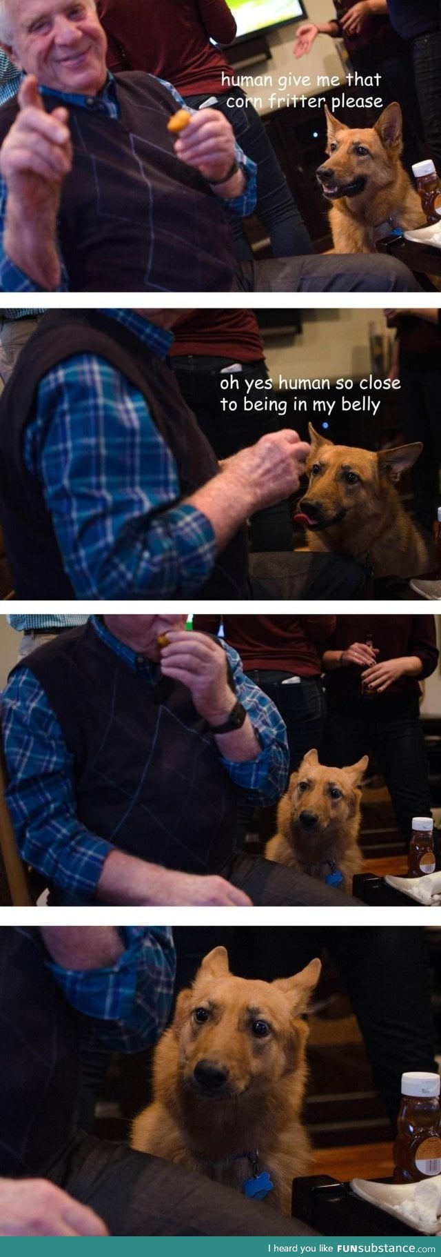 How could you