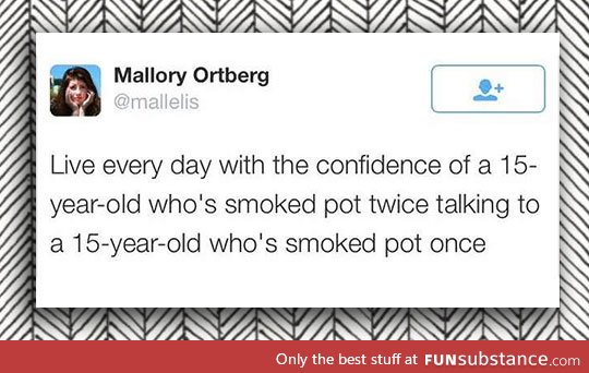 I'M A STONER YO LET'S GO ATTEMPT TO DO THE WHIP