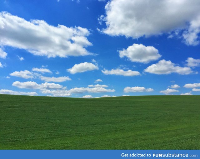 Bike ride aroud Walla Walla, WA took me right into the Windows XP wallpaper today