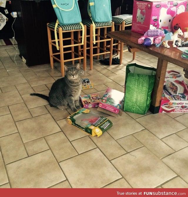 The difference between cats and dogs is cats stand proudly next to their destruction