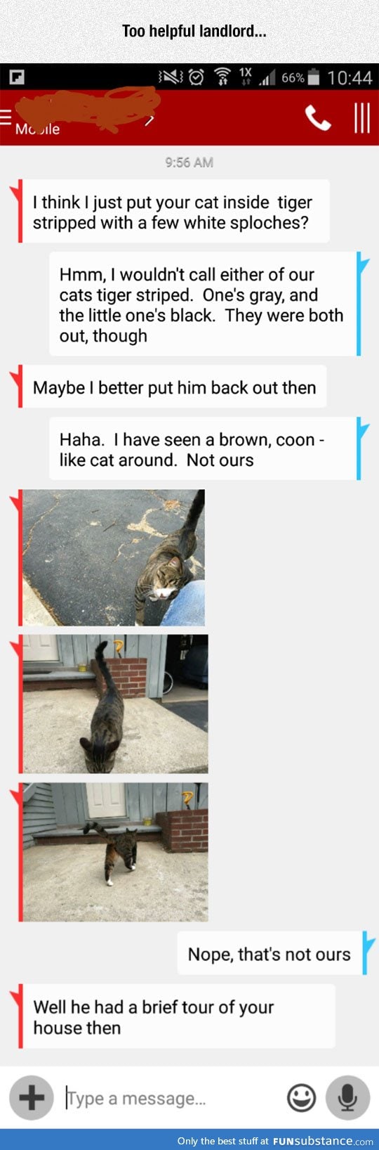Landlord finds cat