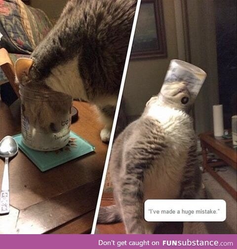 Oh, Tumblr