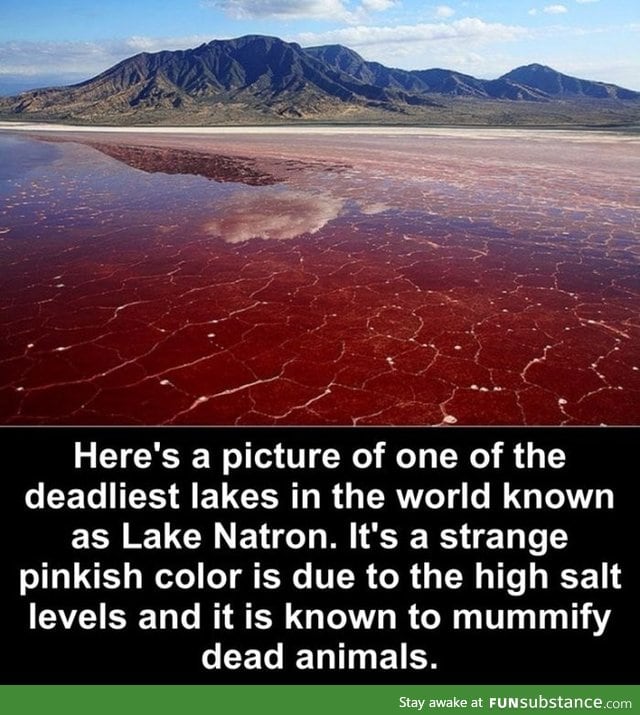 Blood lake