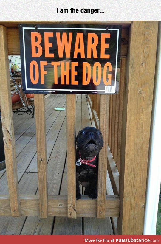 I'm The One Who Barks