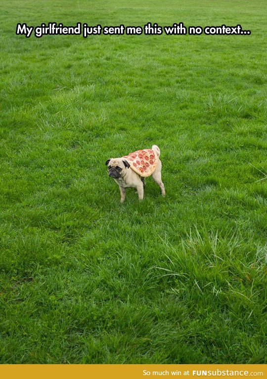 Pizza pug