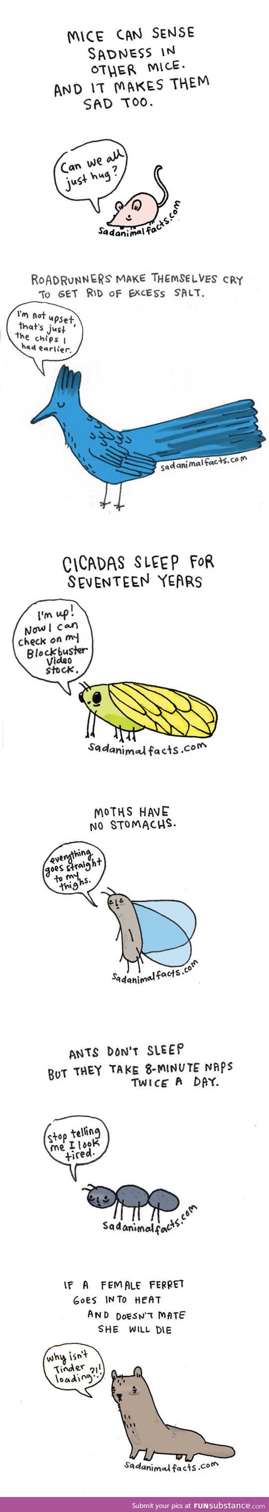 sad animal facts part 3