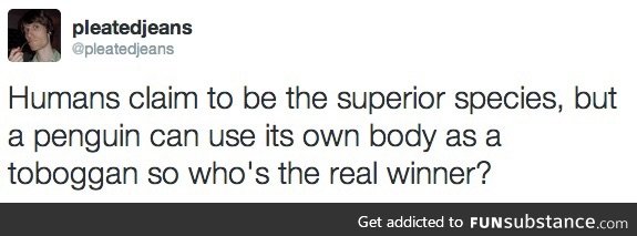Who's the real winner