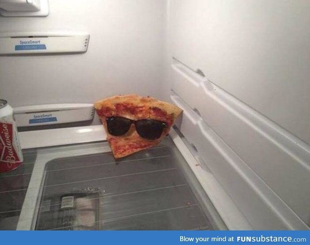 "Yo dawg I left some pizza chillin in the fridge"