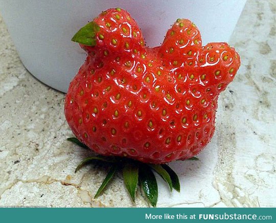 Chicken-shaped strawberry