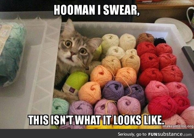 Someone has a yarn addiction