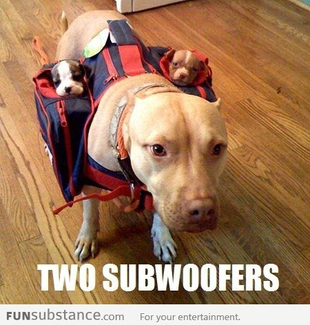 Two Subwoofers