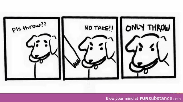 Dog logic