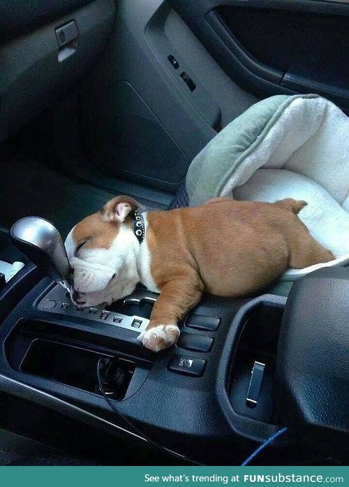 Uber driver caught sleeping on the job