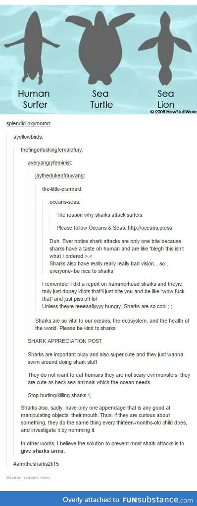 Sharks don't mean to be mean