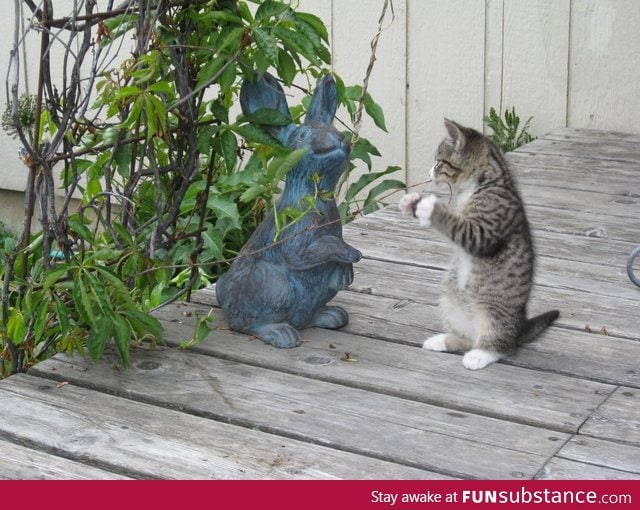 Come at me bro!