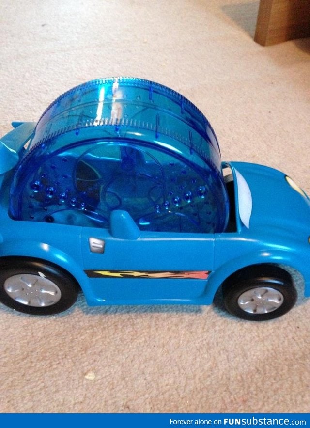 We bought my sister's hamster a car