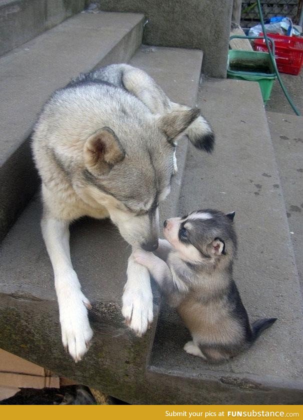 Bothering mom