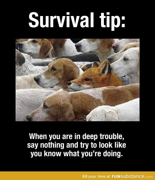 Important survival tip