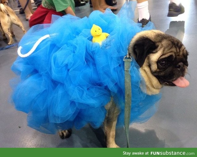 Pug Loofah Dog Costume