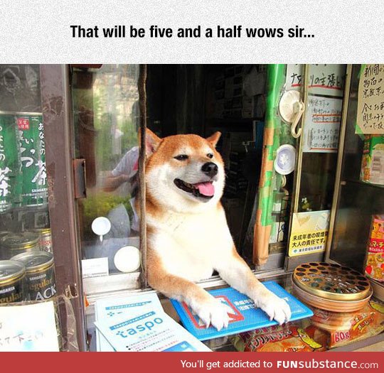 Such shop, very transaction, much pay, doge working