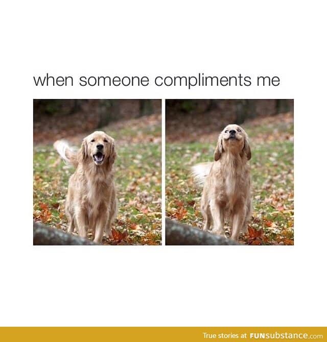 When somebody compliments me