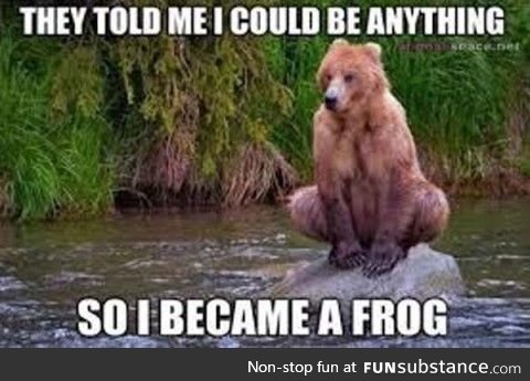 Bears these days