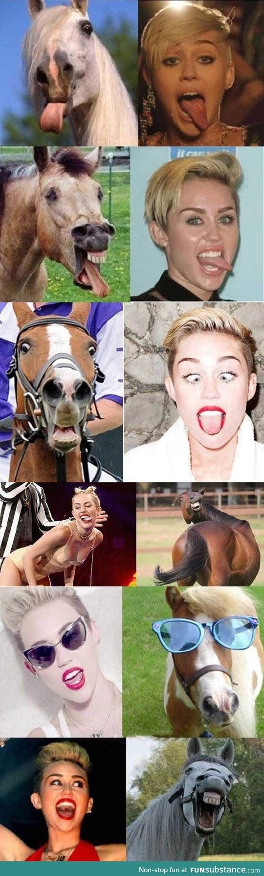 Miley vs Horse