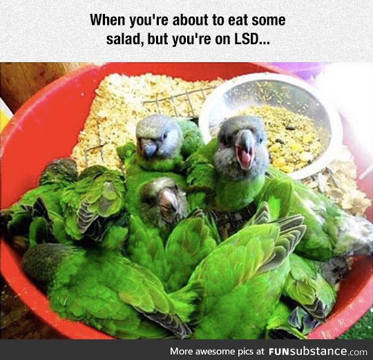 Why is the lettuce biting?