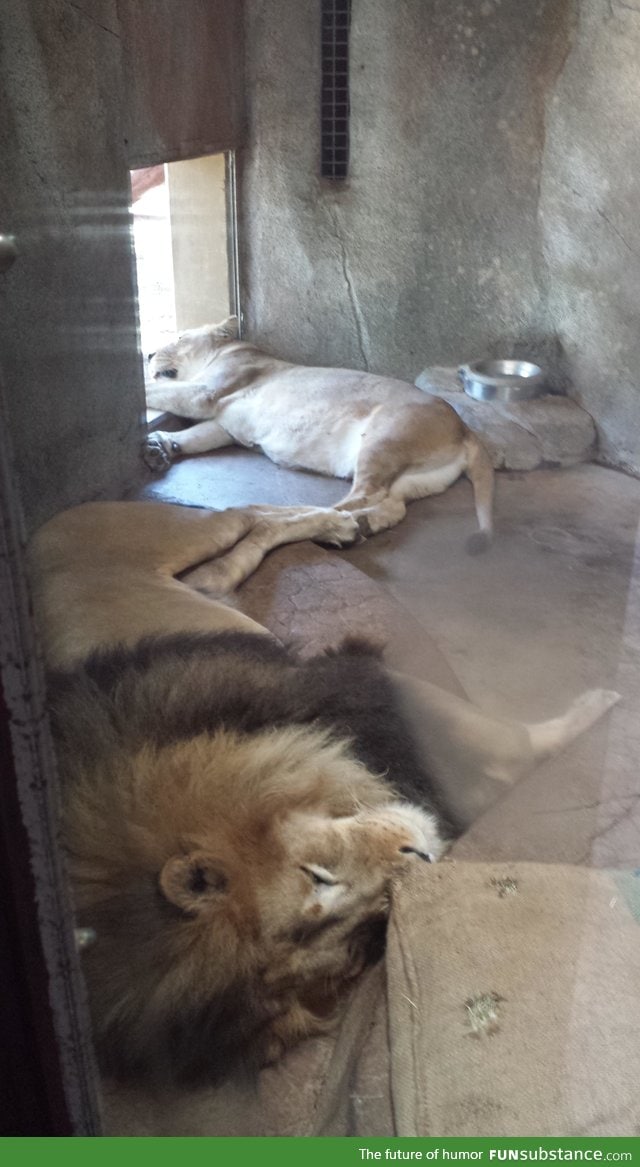 When it's too hot to cuddle...But you still wanna touch