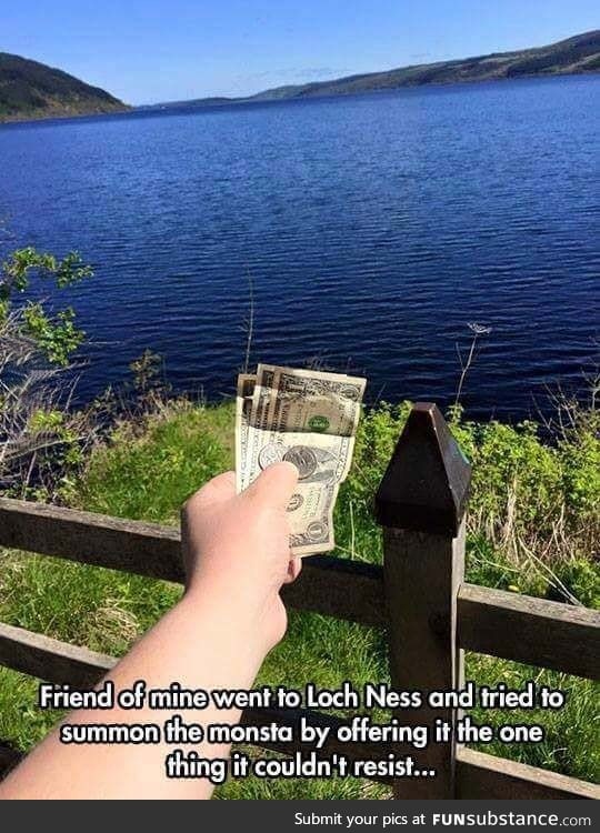 We make our own tree fiddy around here