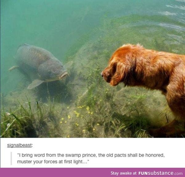 woof