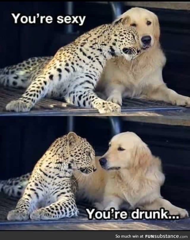 Sexy or Drunk?