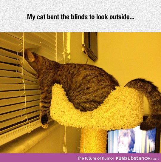 Laziness at its best